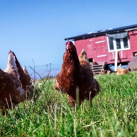 Osterhof - Casa Foresta Apartmán Fehmarn