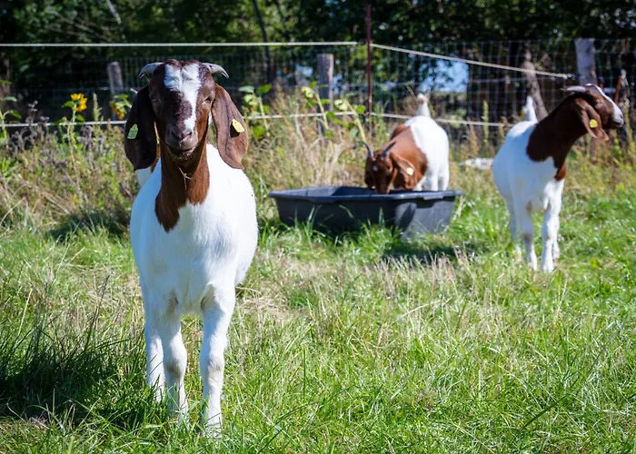 公寓 Osterhof - Casa Foresta *
